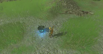 Zelda totk portable pot